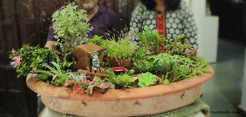 DishGardenLerning_0017